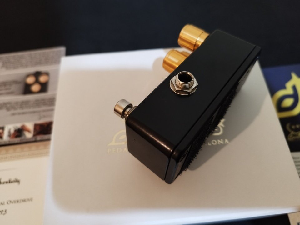 Decibelics Golden Horse