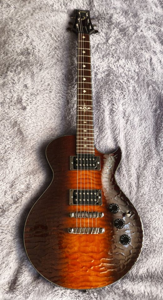 Ibanez ART300 Brown Caiman