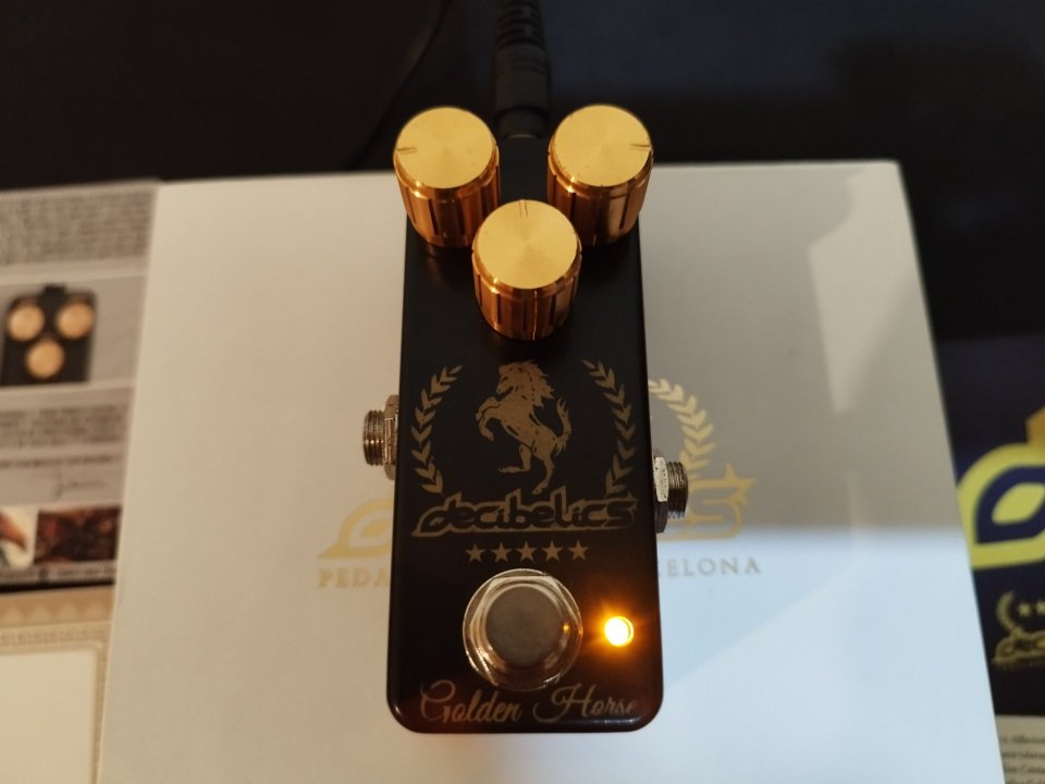 Decibelics Golden Horse