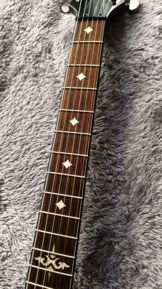 Ibanez ART300 Brown Caiman
