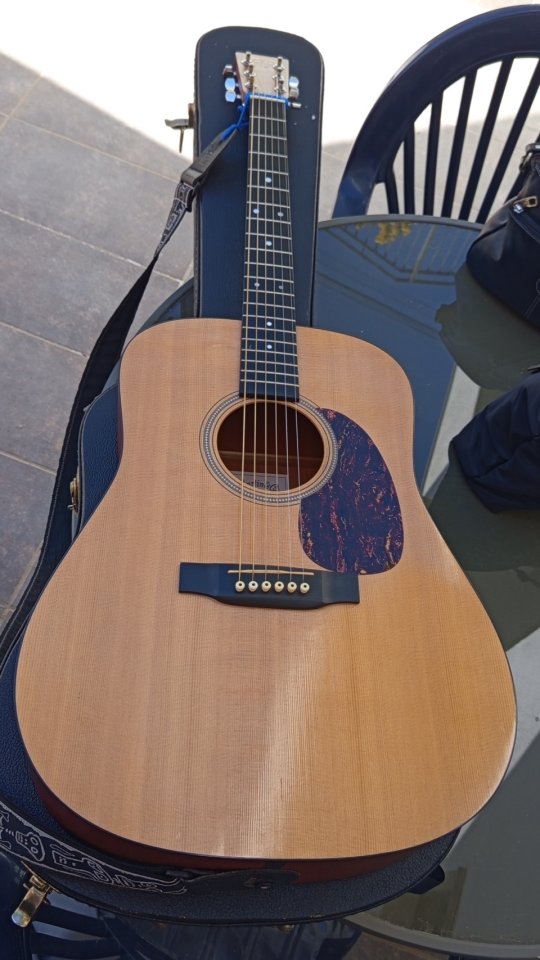 Martin D-16 GT guitarra acústica
