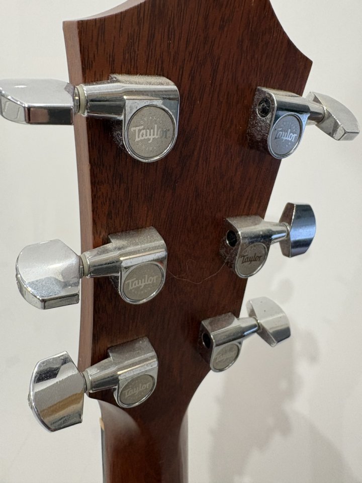 Guitarra Taylor 310ce