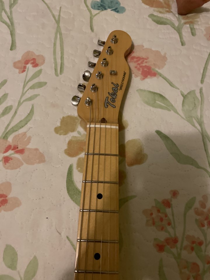 Vendo Tokai TTE118 japonesa de segunda mano · Foto 5 de 6 · León · 1150 €