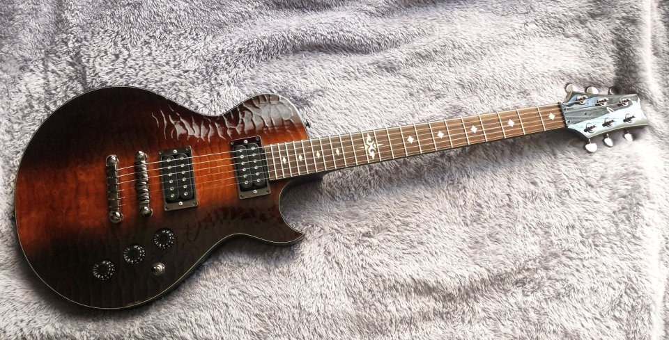 Ibanez ART300 Brown Caiman