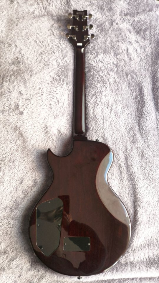 Ibanez ART300 Brown Caiman