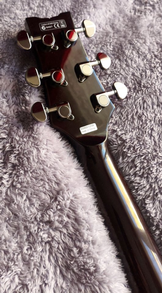 Ibanez ART300 Brown Caiman