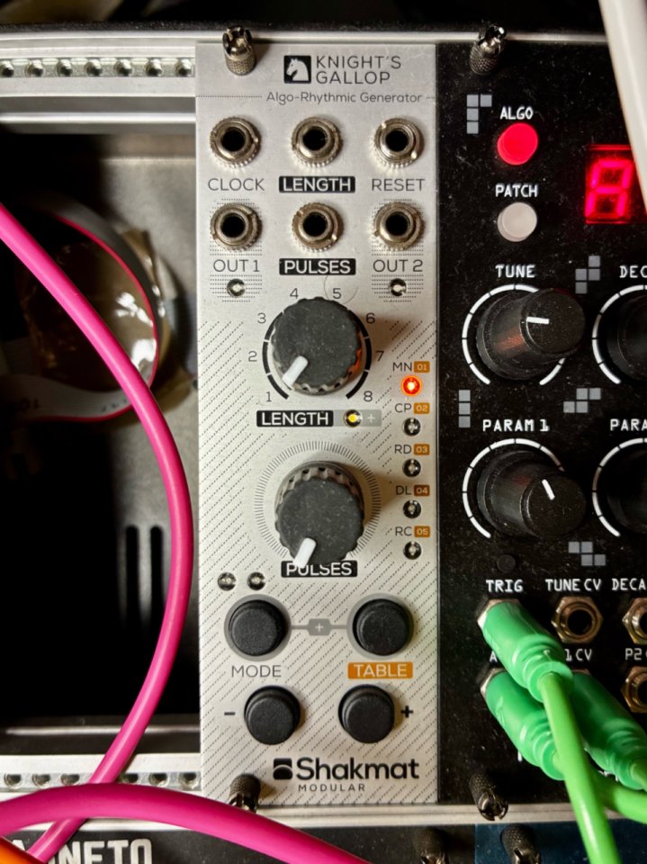 Shakmat Knight's Gallop Eurorack Module