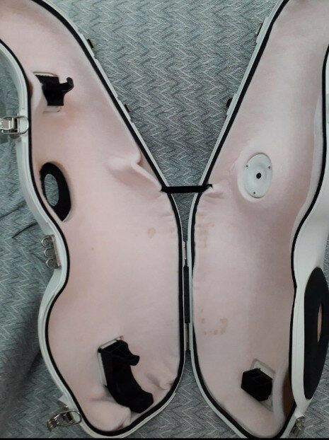 Best brass e- saxmut alto sordina