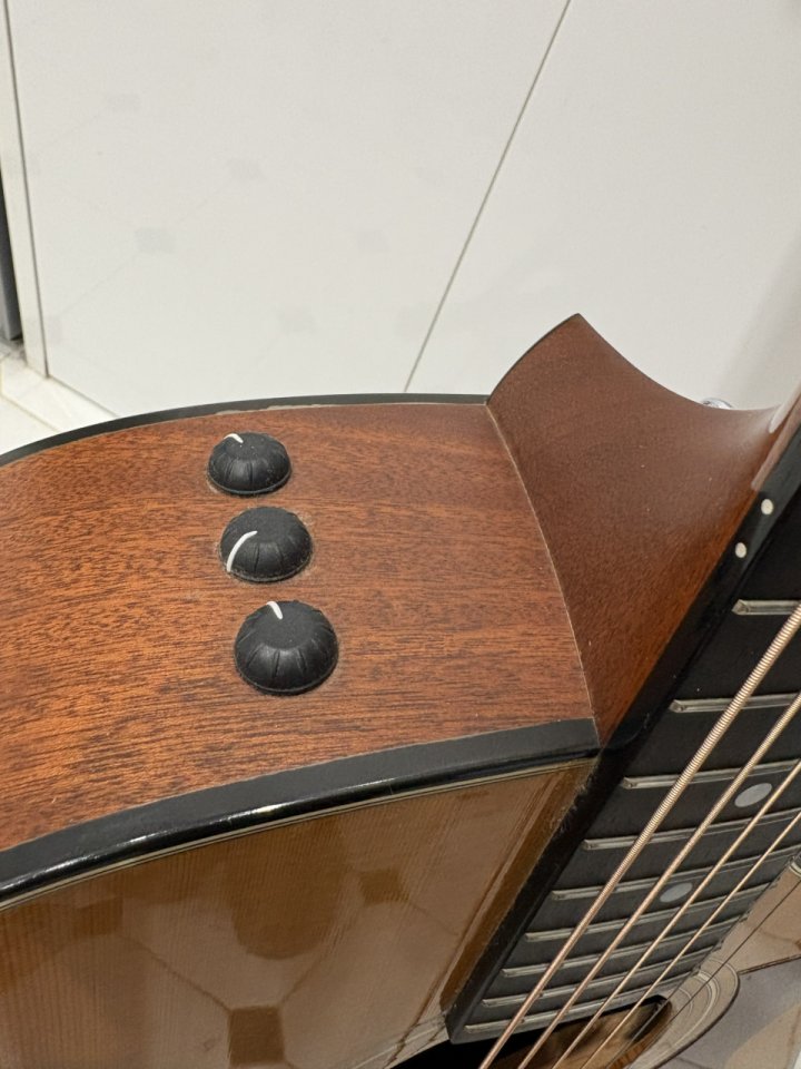 Guitarra Taylor 310ce