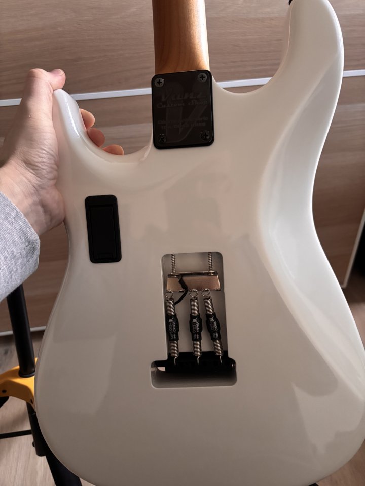 Vanz Strato HSS Pascual Brisa pickups