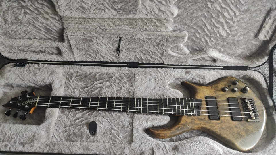 Warrior Dran Michael 5 cuerdas - Custom Shop USA (Certificado Original) de segunda mano · Foto 3 de 7 · Málaga · 5300 €