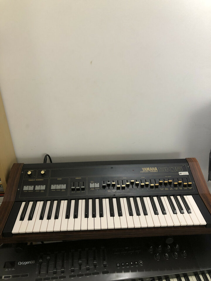 Vendo /Cambio Yamaha Sk 15 de 1981