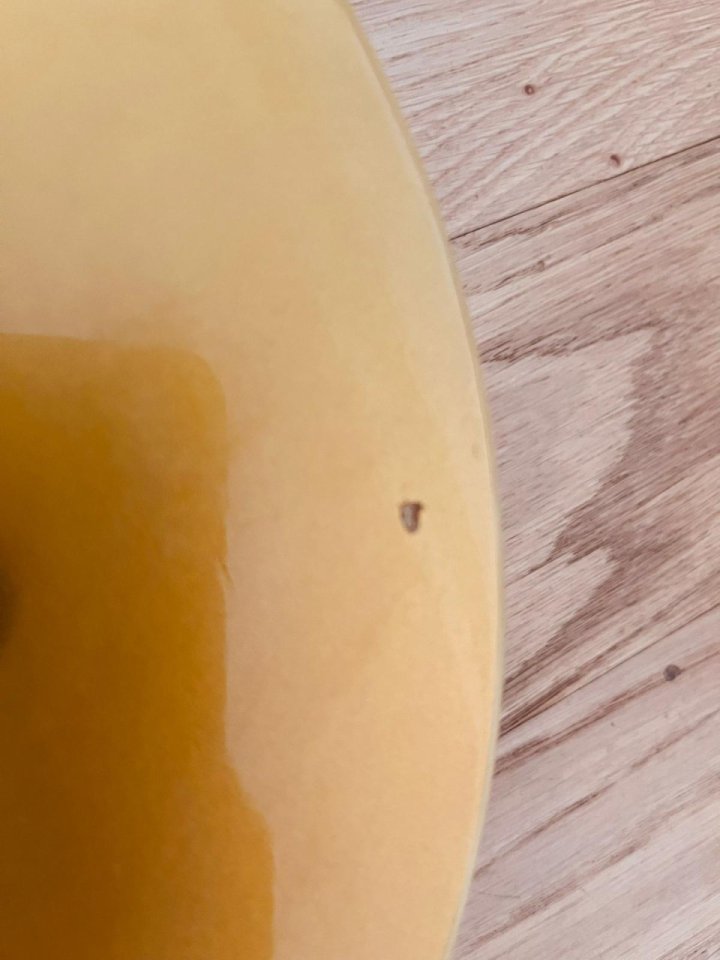 Salcedo P90 Singlecut Goldtop simil Gibson BluesHawk scala Fender 25,5