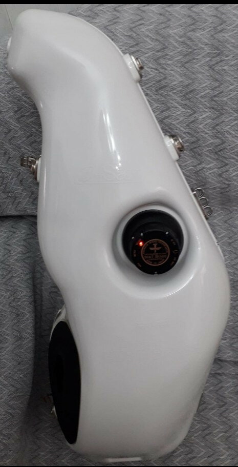 Best brass e- saxmut alto sordina