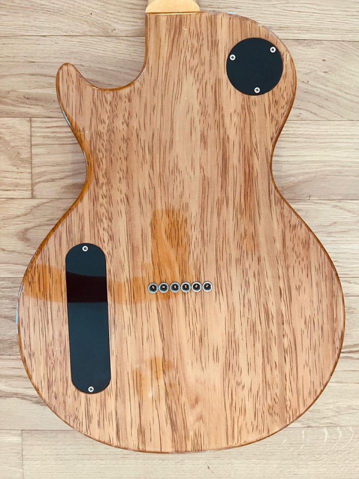 Salcedo P90 Singlecut Goldtop simil Gibson BluesHawk scala Fender 25,5