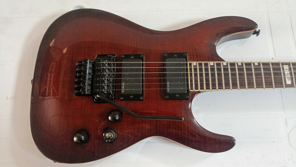 Esp-Ltd 401 MH