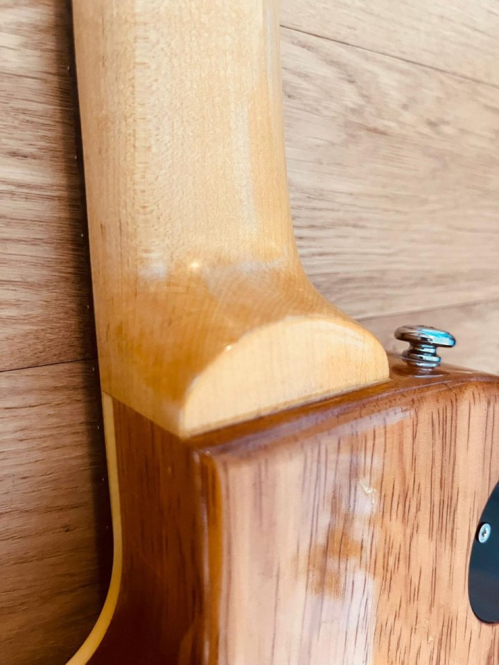 Salcedo P90 Singlecut Goldtop simil Gibson BluesHawk scala Fender 25,5