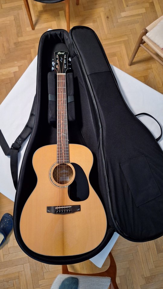 Guitarra acústica Cort Gold O6