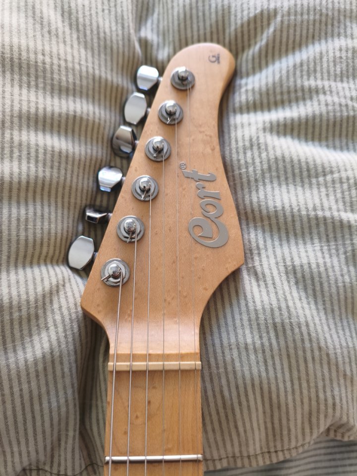 Cort G290 Fat I + Trémolo Gotoh 510-T FE1 (LEER)