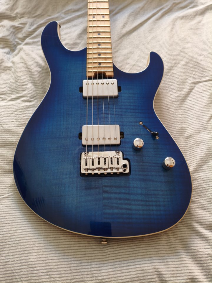 Cort G290 Fat I + Trémolo Gotoh 510-T FE1 (LEER)