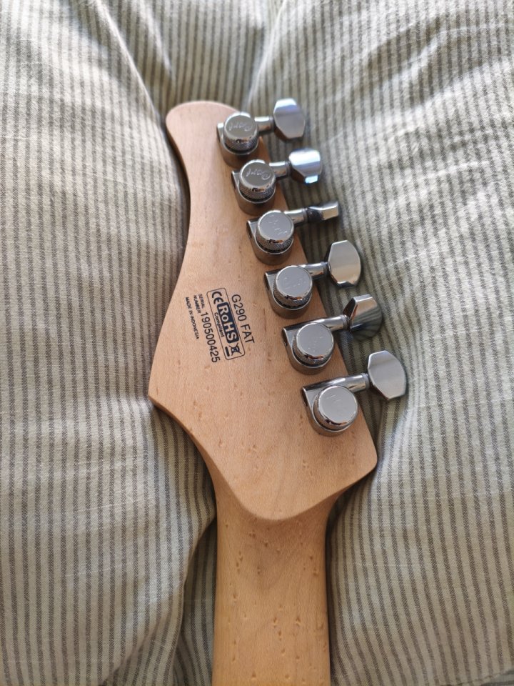 Cort G290 Fat I + Trémolo Gotoh 510-T FE1 (LEER)