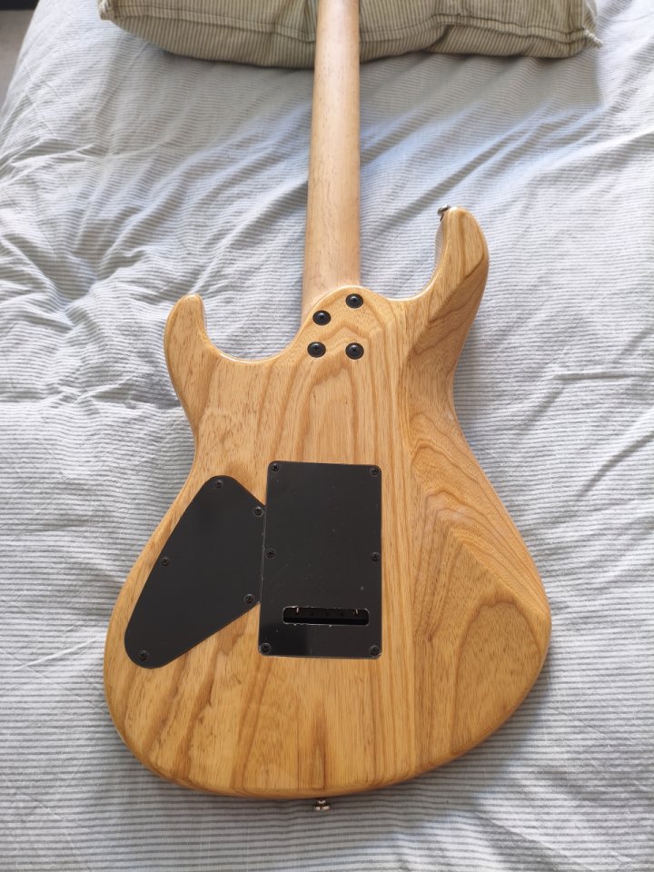 Cort G290 Fat I + Trémolo Gotoh 510-T FE1 (LEER)