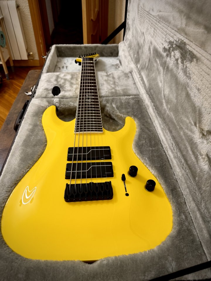 ESP LTD SC-608 Limited Edition (Chiquita yellow) de segunda mano · Foto 1 de 8 · Barcelona · 1600 €
