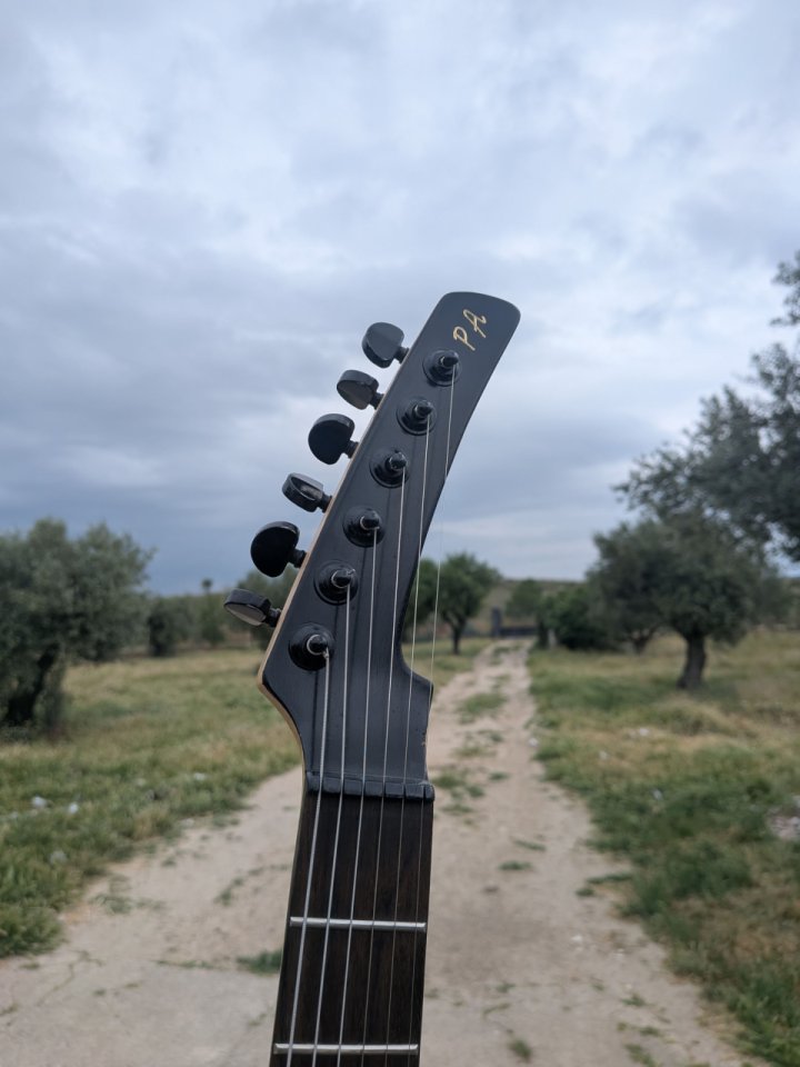 Guitarra eléctrica estilo Parker (posible cambio por acústica 12 cuerdas) de segunda mano · Foto 3 de 10 · Madrid · 150 €