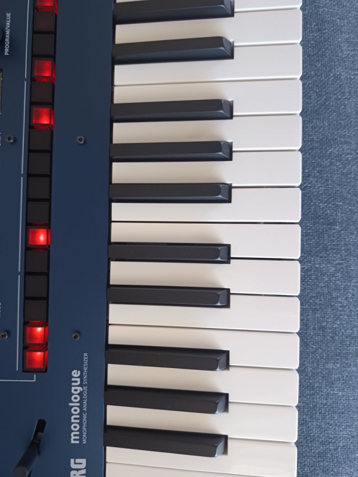 Korg Monologue Azul de segunda mano · Foto 5 de 7 · Madrid · 200 €