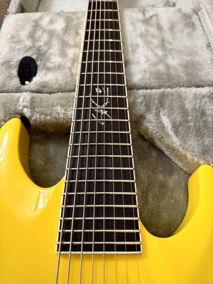 ESP LTD SC-608 Limited Edition (Chiquita yellow) de segunda mano · Foto 5 de 8 · Barcelona · 1600 €
