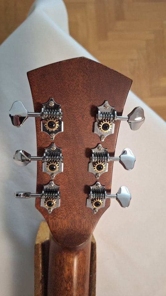 Guitarra acústica Cort Gold O6