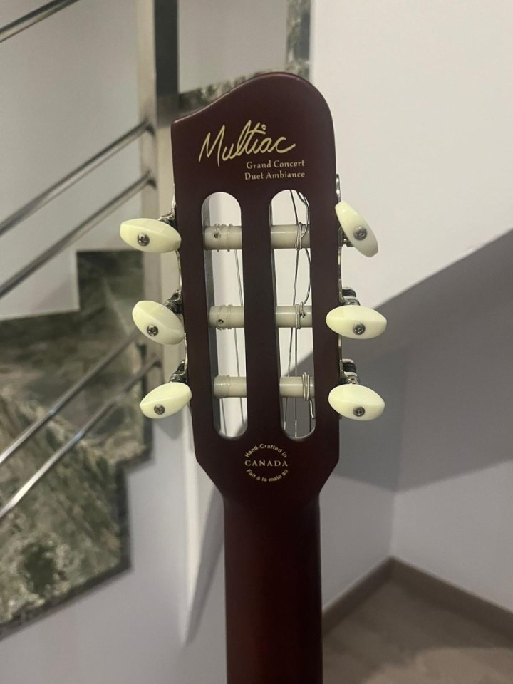 Godin grand concert duet ambiance de segunda mano · Foto 5 de 5 · Girona · 1800 €