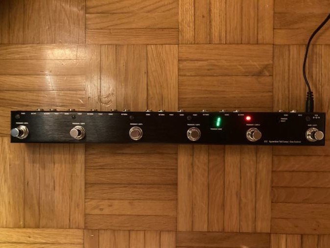 One Control Agamidae (Switcher Loop)