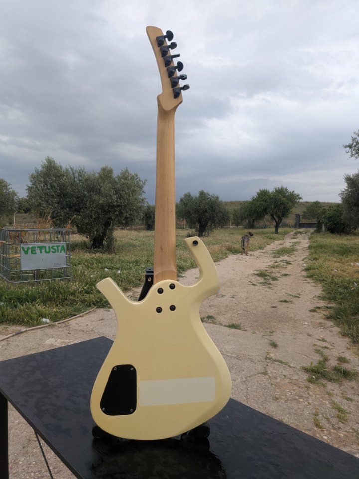 Guitarra eléctrica estilo Parker (posible cambio por acústica 12 cuerdas) de segunda mano · Foto 7 de 10 · Madrid · 150 €