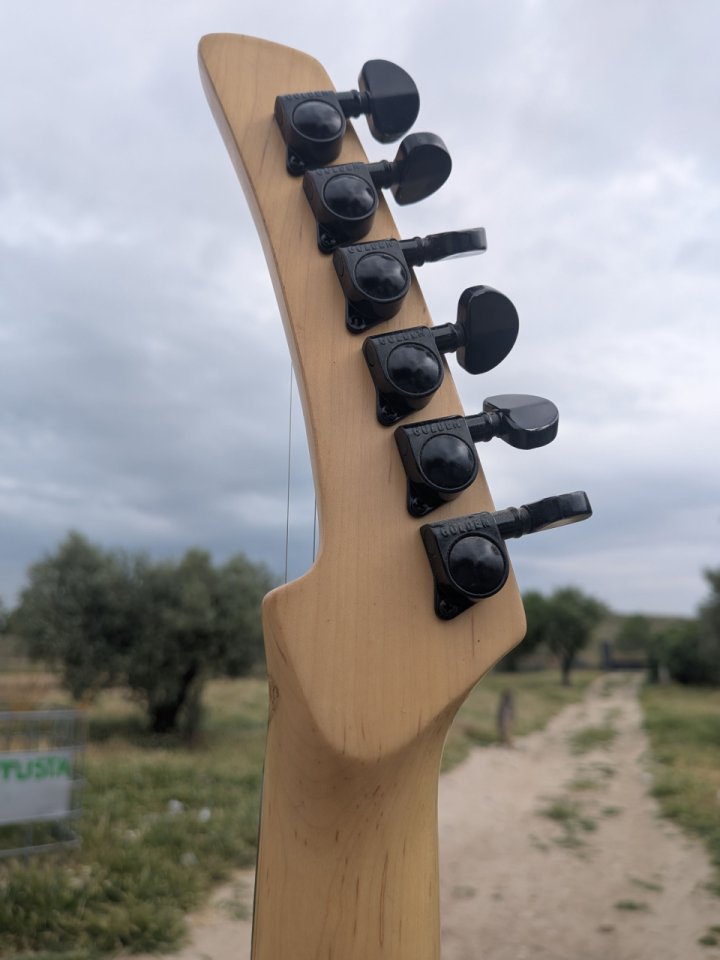 Guitarra eléctrica estilo Parker (posible cambio por acústica 12 cuerdas) de segunda mano · Foto 8 de 10 · Madrid · 150 €