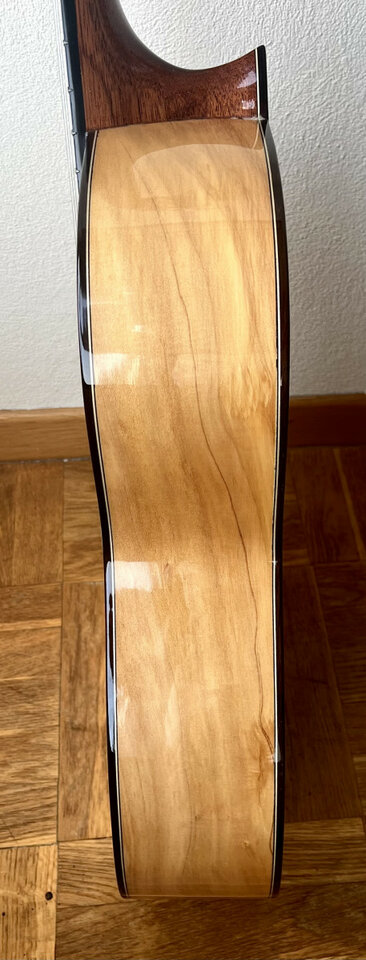 Flamenca Especial Valeriano Bernal CAMBIO POR ELÉCTRICA!!!