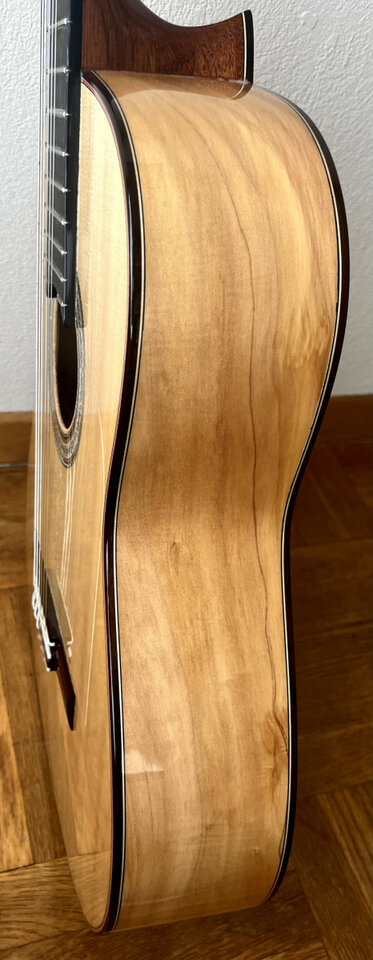 Flamenca Especial Valeriano Bernal CAMBIO POR ELÉCTRICA!!!