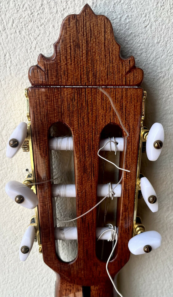 Flamenca Especial Valeriano Bernal CAMBIO POR ELÉCTRICA!!!