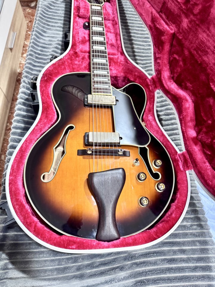 Ibanez afj957 7 string archtop