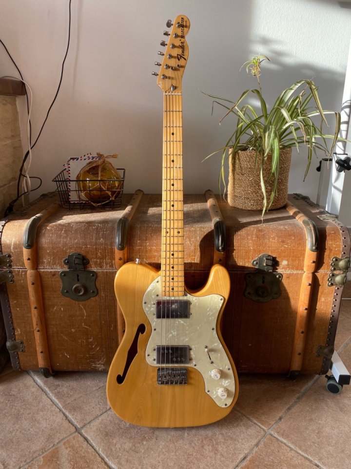 Telecaster Thinline E series Japan