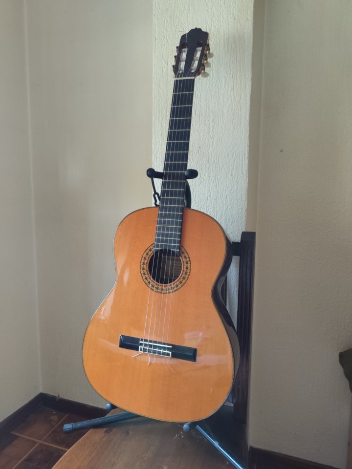 Guitarra Española Esteve 8 de segunda mano · Foto 9 de 10 · Madrid · 1200 €