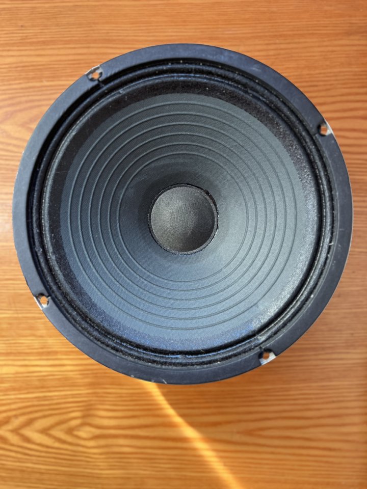 Celestion G10 Vintage 10” 8 omhs de segunda mano · Foto 2 de 2 · Madrid · 55 €