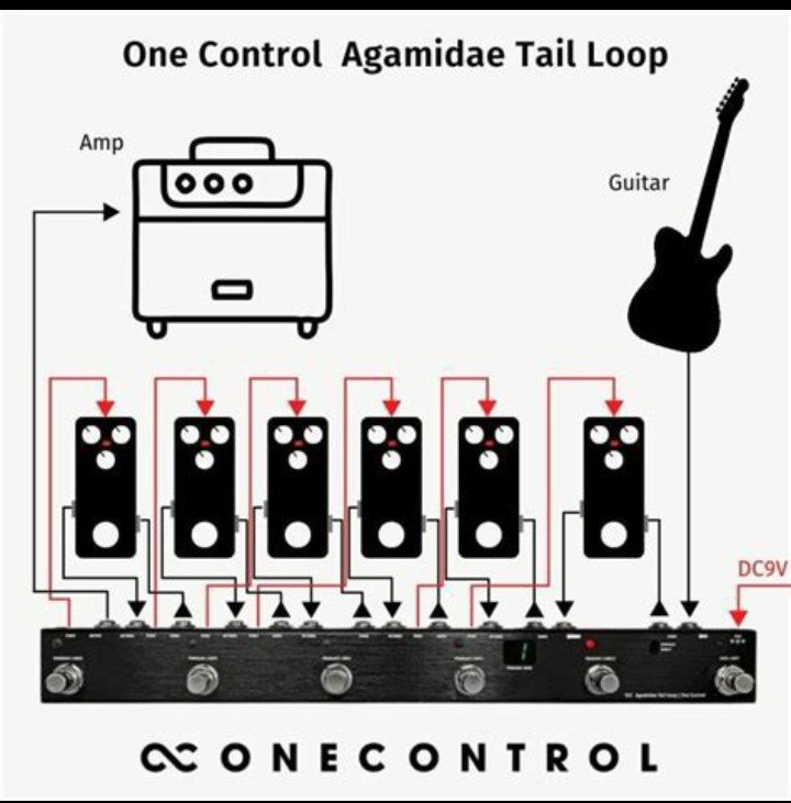 One Control Agamidae (Switcher Loop)