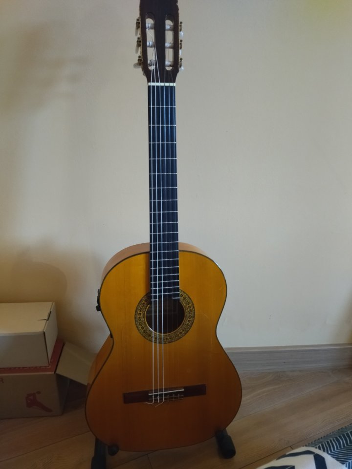 Guitarra flamenca tapa abeto macizo previo fishman