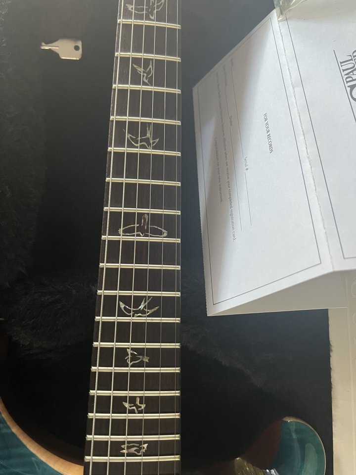 Prs Custom 24 Top 10 2009 Rosewood Neck