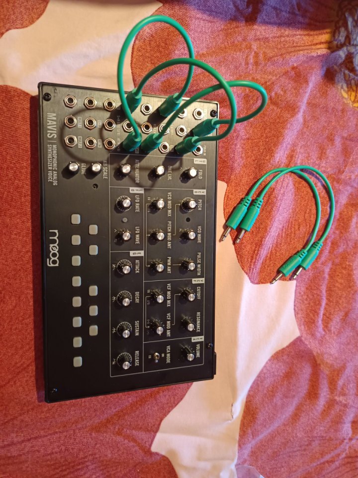 Moog Mavis de segunda mano · Foto 1 de 3 · Madrid · 150 €