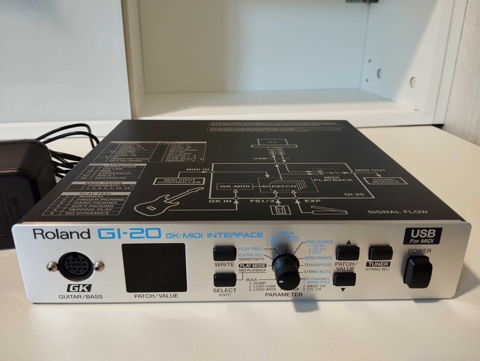 Roland GI-20 + cable