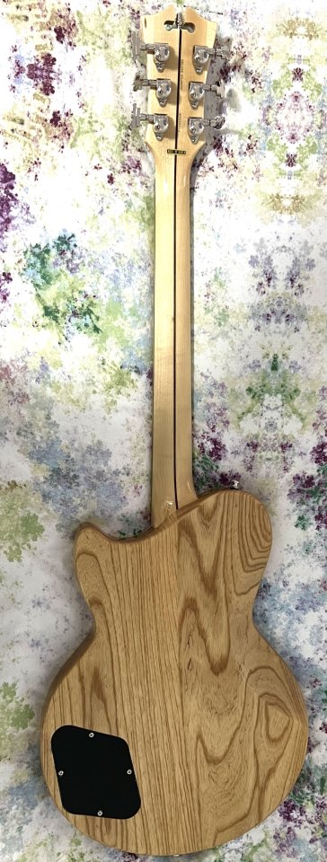 D’Angelico Bedford Deluxe Atlantic Vintage de segunda mano · Foto 2 de 2 · SC Tenerife · 1000 €