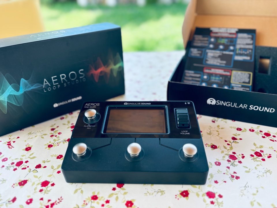 Looper Aeros Singular Sound de segunda mano · Foto 1 de 7 · Tarragona · 400 €