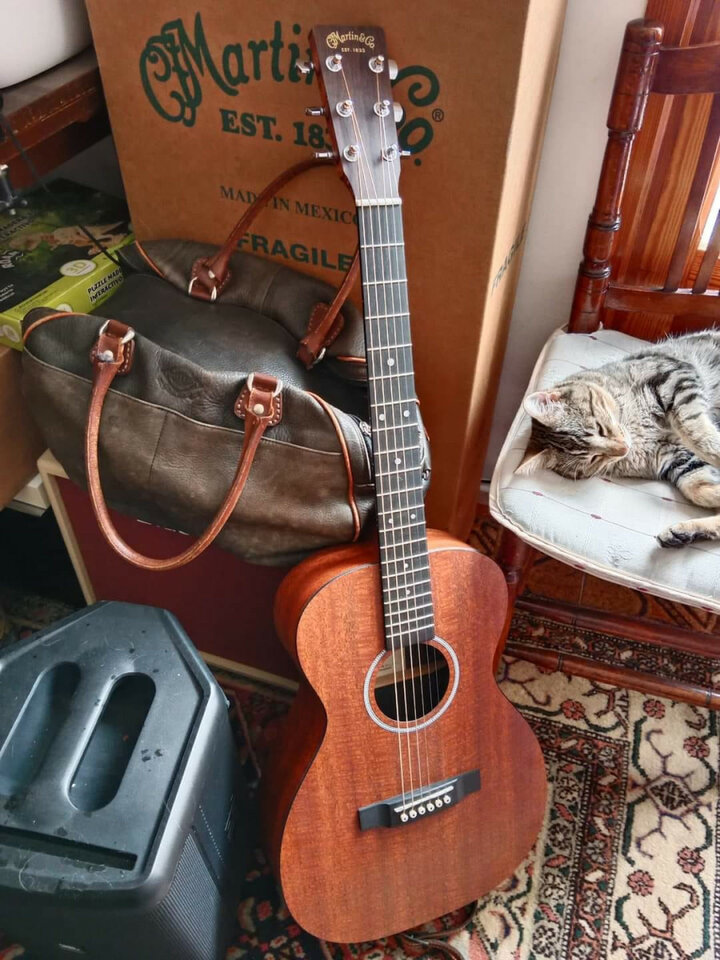 Cambio Martin X Series con previo Fishman por Taylor Academy o similar